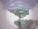 Smithers Stung By A Bee