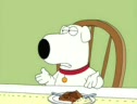 Family Guy Remix
