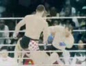 MMA Knockouts