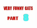 Very Funny Cats Remix
