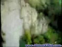 Cliff Diving