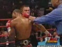 Boxing KO Collection