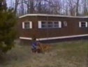 Funny Animal Clips
