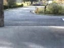 Skateboarding Doggy