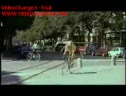 Why Women Enjoy Cycling