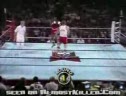 The Ultimate Collection Of Sports Bloopers