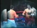 More Boxing Knockouts