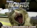 Singing Cat