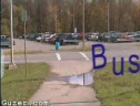 Bus Diving