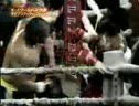 Mighty Mo Vs Soring