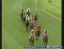Horse Racing Accident