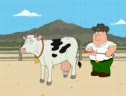 The Horny Cow Part 1