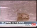 Chopper Blows Deer Off The Lake