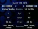 Gary Goodridge Vs Paul Herrara
