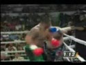 Mighty Moko Highlights